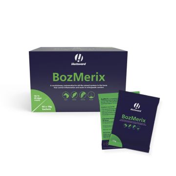 BozMerix Karton