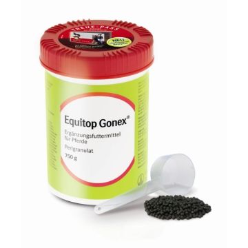 Equitop Gonex
