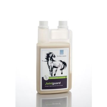 Chevalguard Jointguard vorne