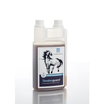 Chevalguard Tendonguard vorne